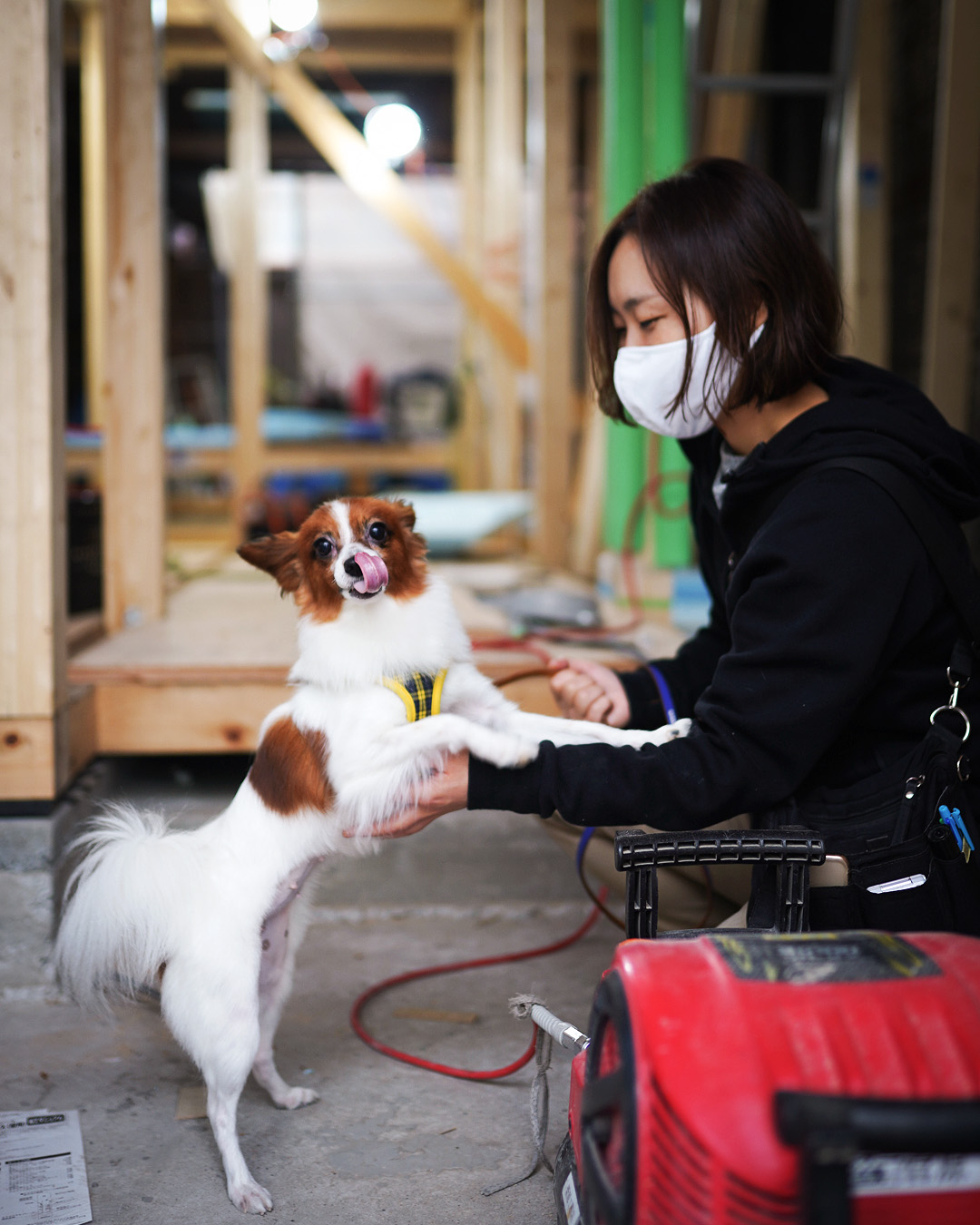 現場見学にきてくれた、K様の愛犬「エテちゃん」