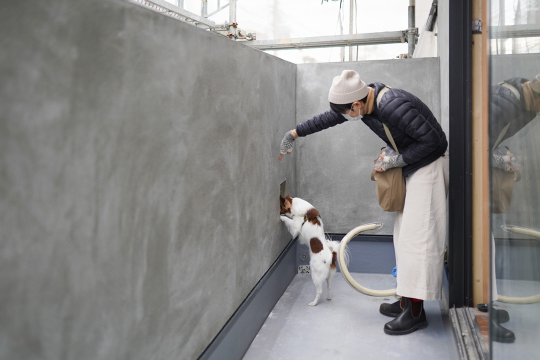 ベランダの工事が進行中 壁には愛犬ののぞき窓をつくりました。