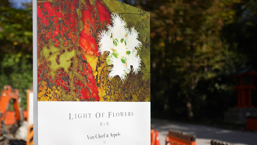 LIGHT OF 世界文化遺産 下鴨神社 LIGHT OF FLOWERS 花と光