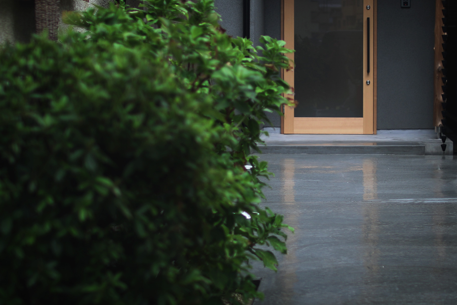 エントランス モルタルコンクリート 木製ドア 一戸建リノベーション 京都